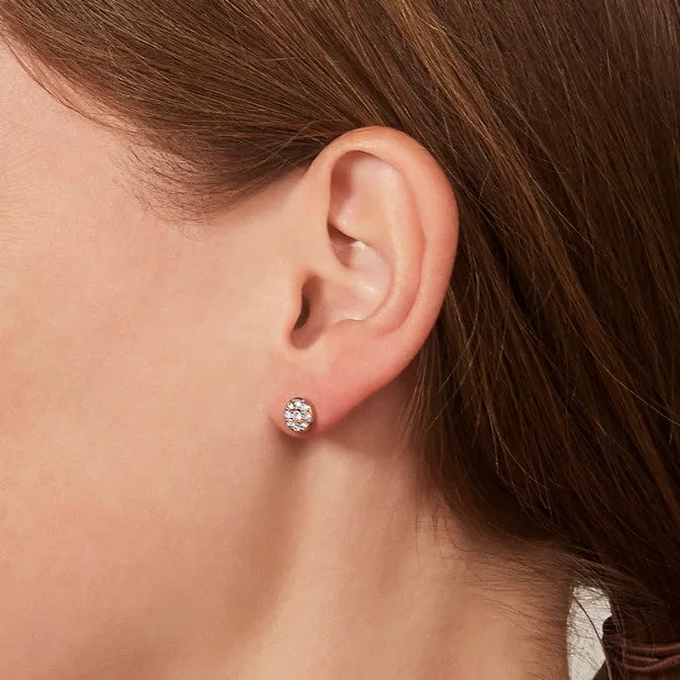 Fossil Disc Earrings: Rose