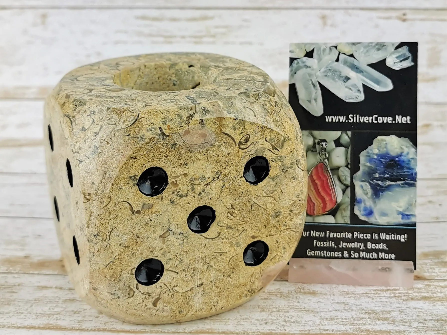 Fossil Shells & Coral Dice Candle Holder