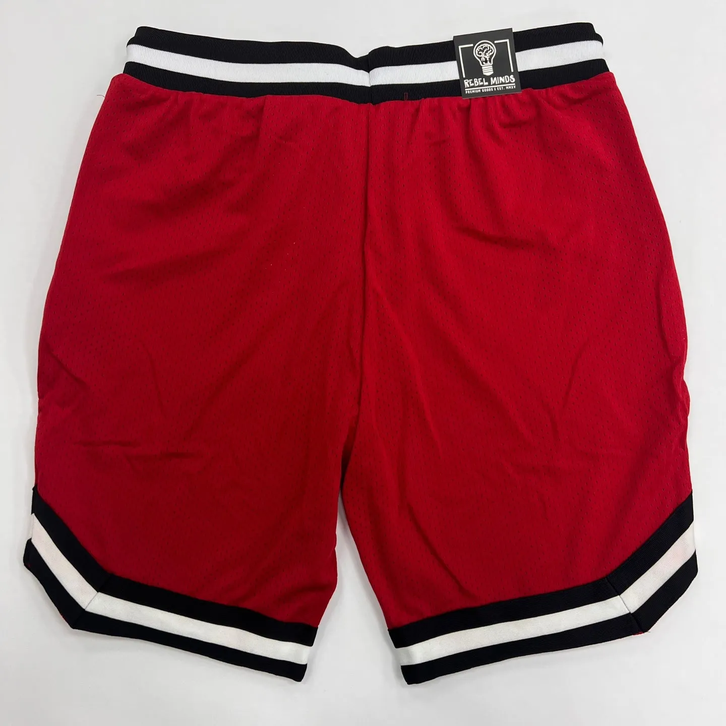 REBEL MINDS Basketball Mesh Shorts