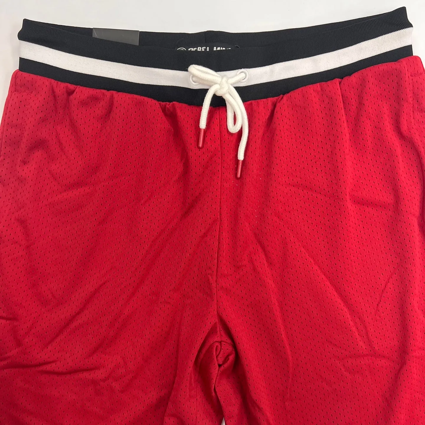 REBEL MINDS Basketball Mesh Shorts