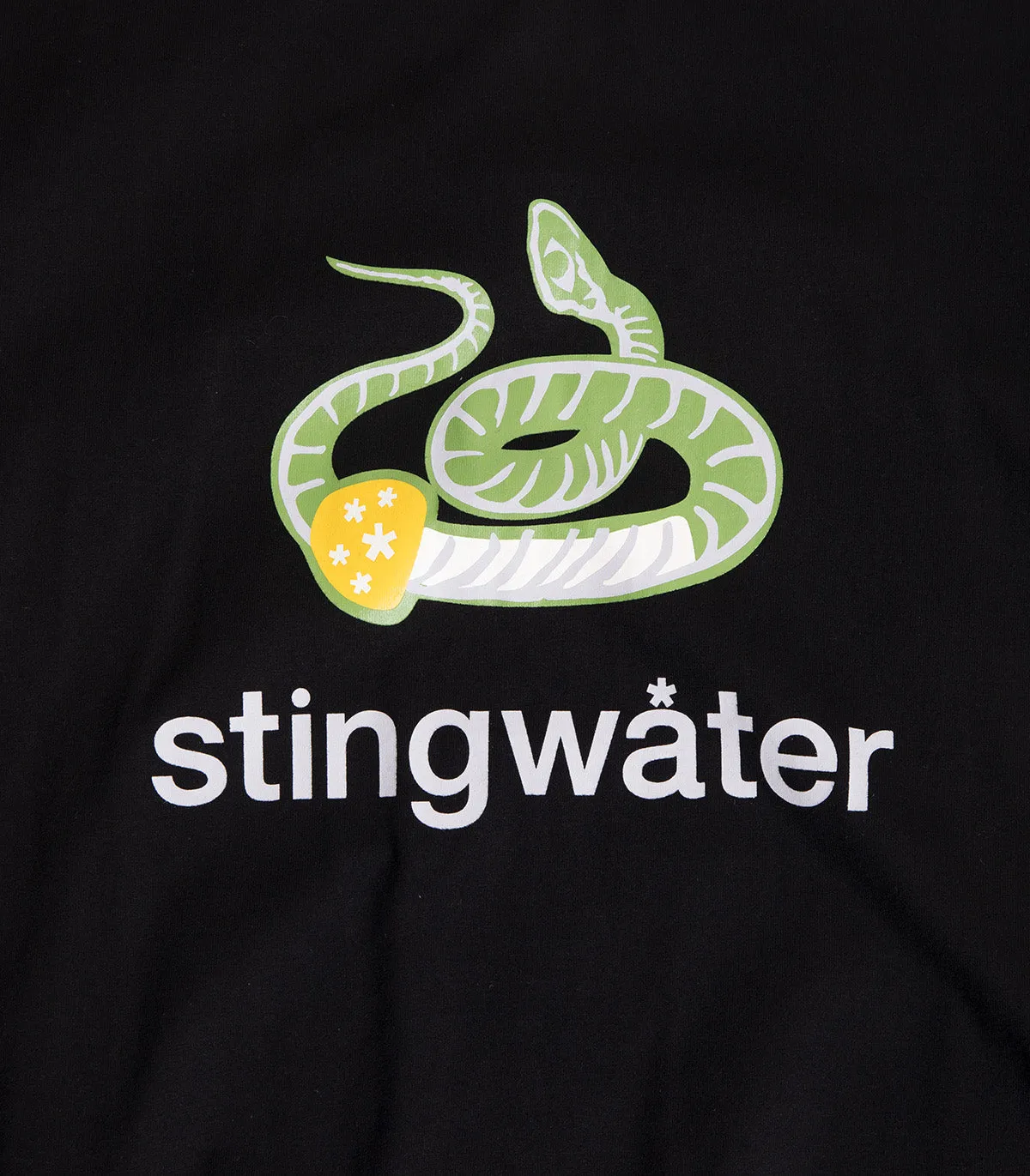 Stingwater Snake Fossil T-Shirt